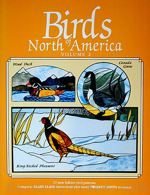 Birds of North America front cover