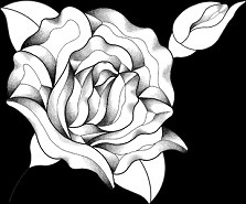 Amethyst Rose