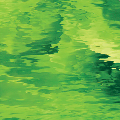 Spectrum Moss Green Water Glass