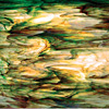 Spectrum Rainforest