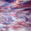 Cobalt Rose