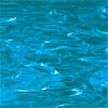 Spectrum Deep Aqua Wispy